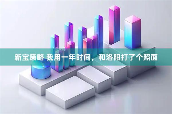 新宝策略 我用一年时间，和洛阳打了个照面
